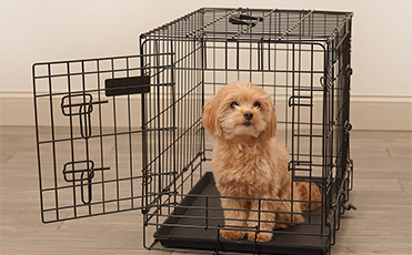 Dog Crate