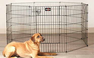 Exercise Pen