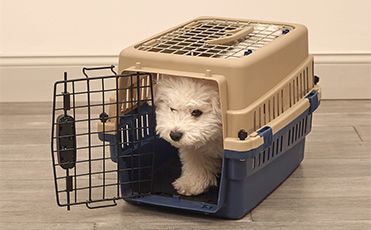 Similar Nail Design Ideas for Unique and Trendy Looks