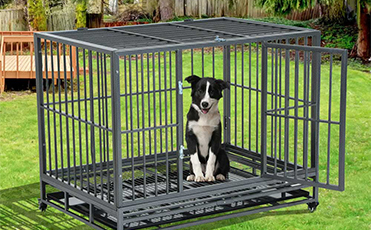 Movable Cage