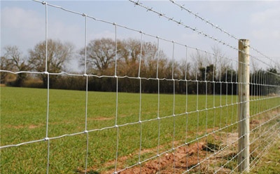 Field Fence