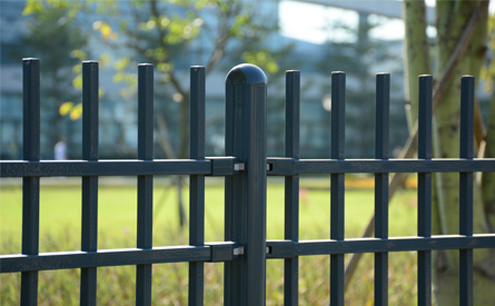 ६ फूट खाजगी फेन्स