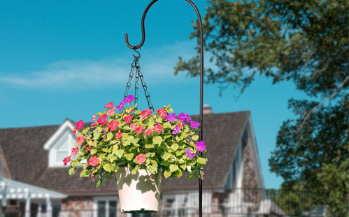 Shepherd Hook/Bracket