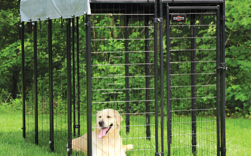 раніцай славы таматычных клетак