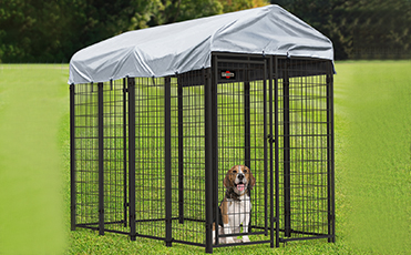 Dog Kennel