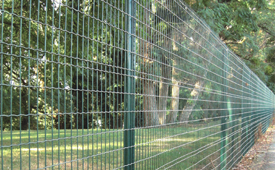 Best Portable Dog Kennels for Travel and Outdoor Adventures Your Pets Will Love