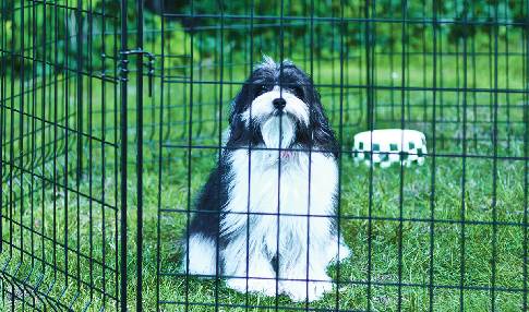 gaas voor knaagdierbestrijding gaas voor knaagdierbestrijding