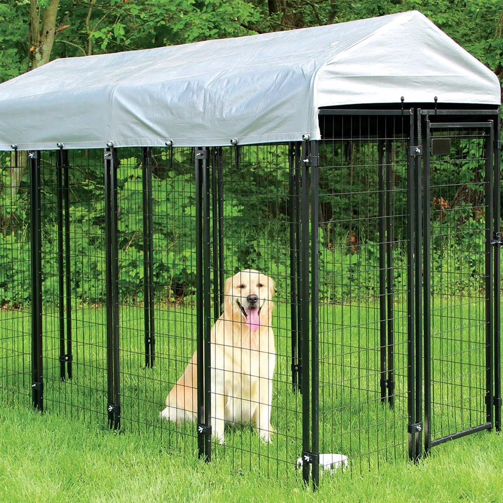 Durable 2x2 Welded Wire Mesh for Various Construction and Gardening Applications