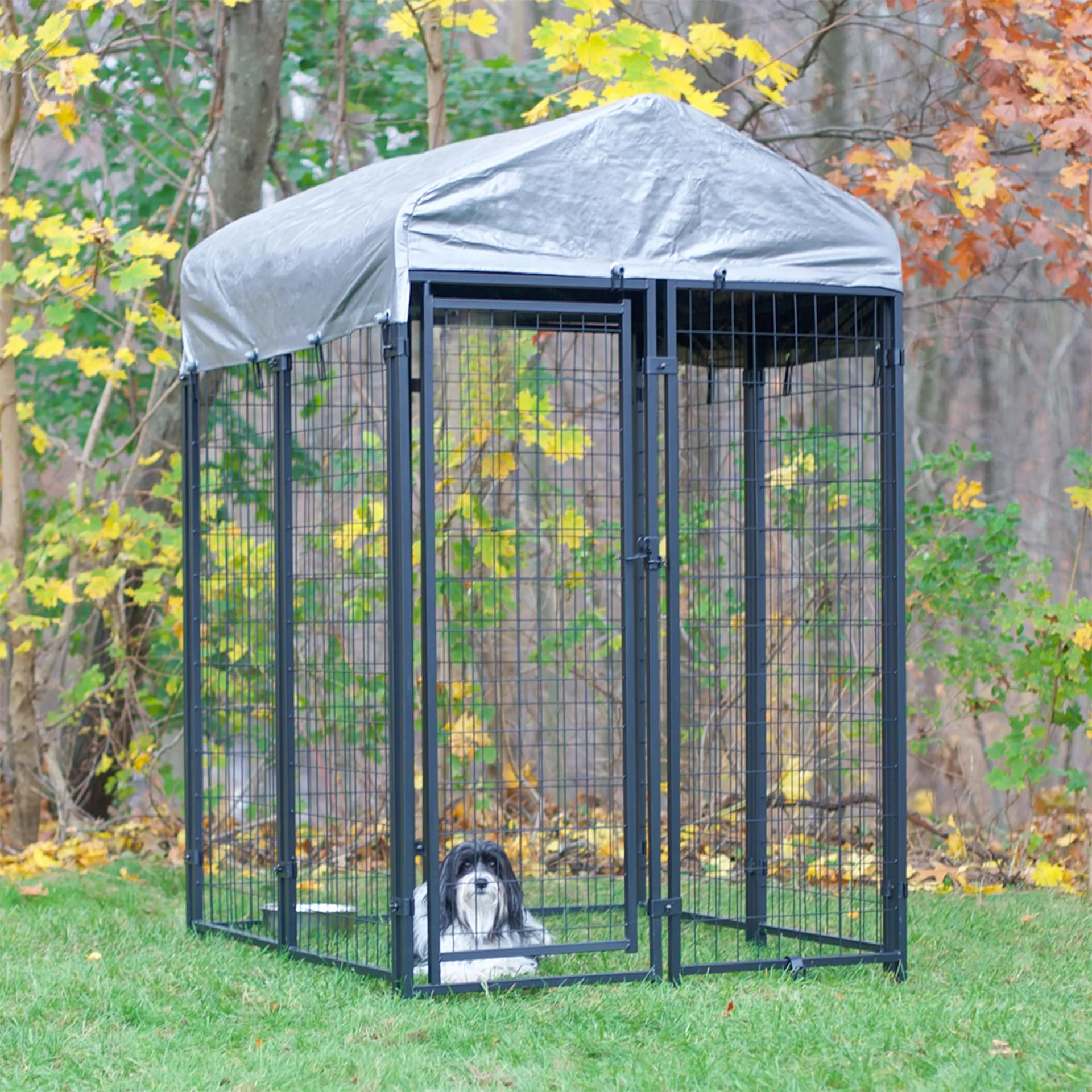 Advantages Of Dog Kennels