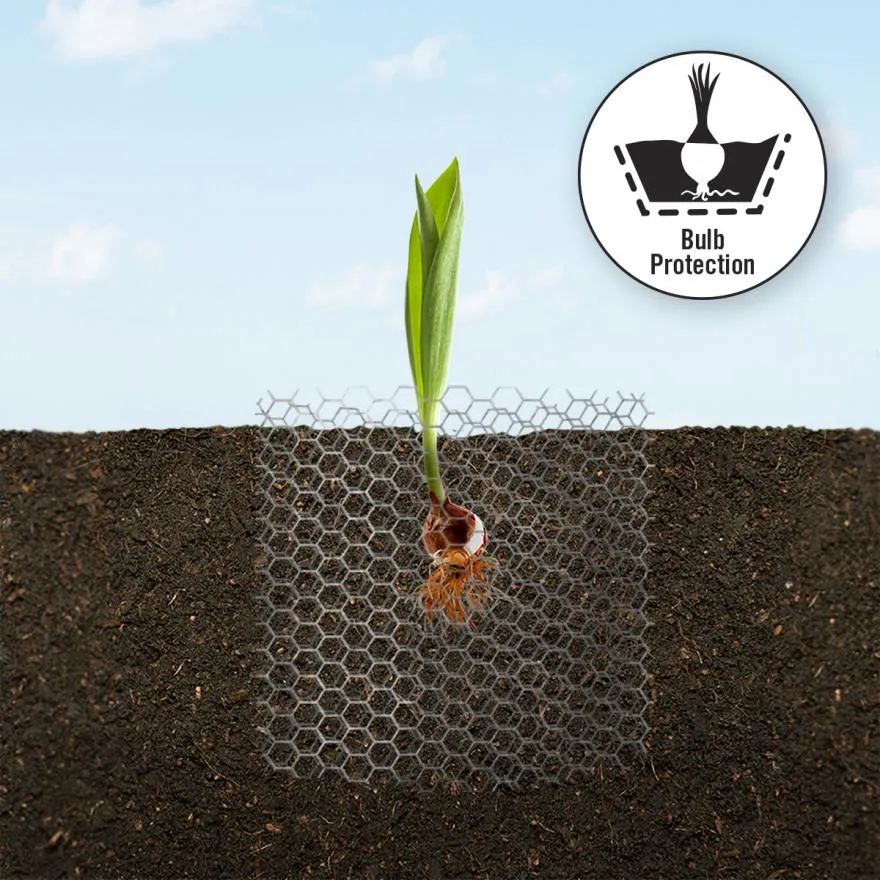The Advantages of Hexagonal Wire Mesh Can Help Plant Growth