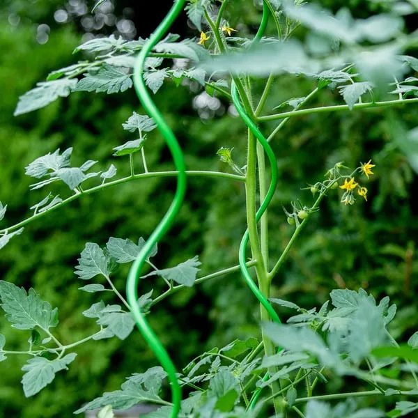 Garden Twist Tie Wire: A Right-Hand Man to Create a Perfect Garden