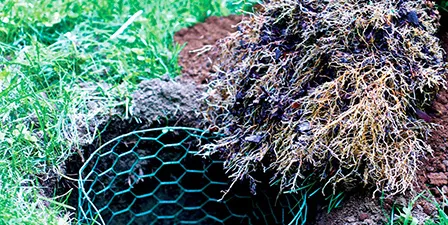 Read More About pvc coated hexagonal wire mesh