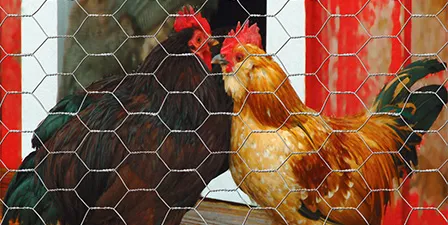 Read More About hexagon wire mesh