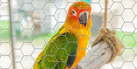 Read More About hexagon wire mesh