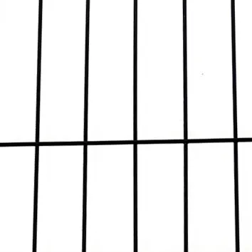 Read More About exercise pen