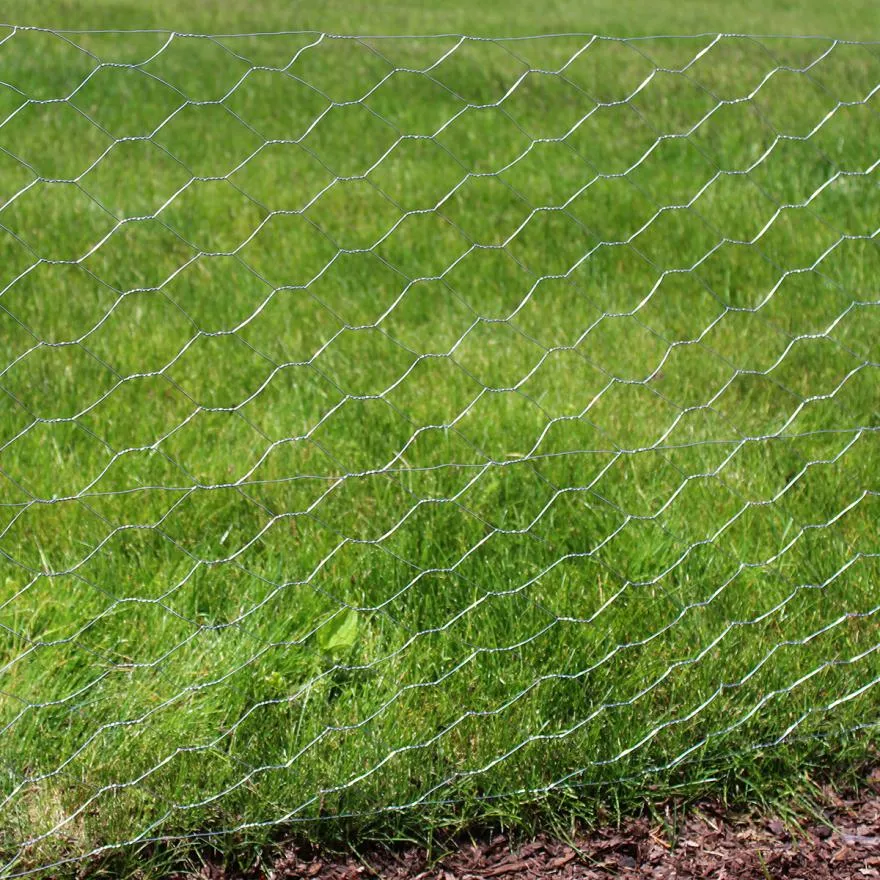 The Advantages of Hexagonal Wire Mesh for Climbing Plants and Flower Sheds