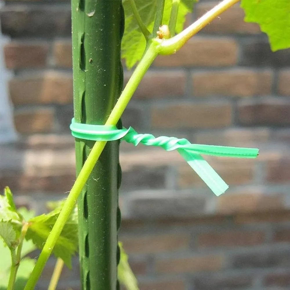 Soft Twist Tie Garden Wire: A Good Gardening Helper, Creating Colorful Gardens