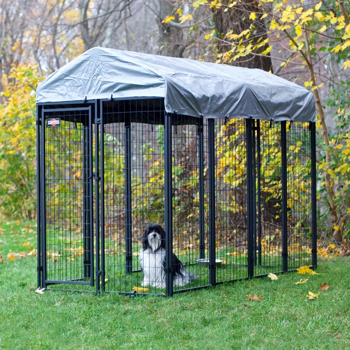 Advantages Of Dog Kennels