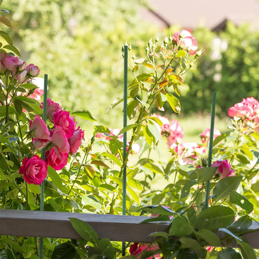 Read More About garden stake for sale