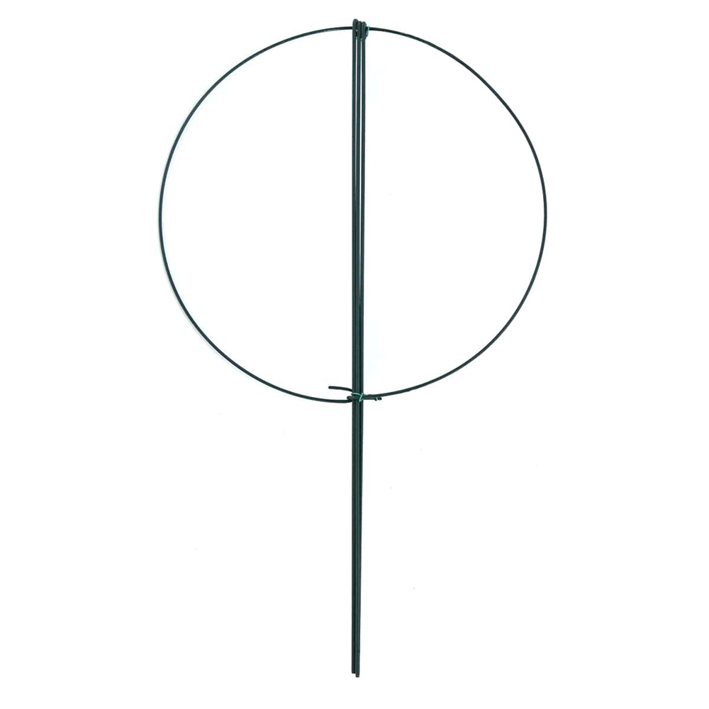 Read More About Plant Support