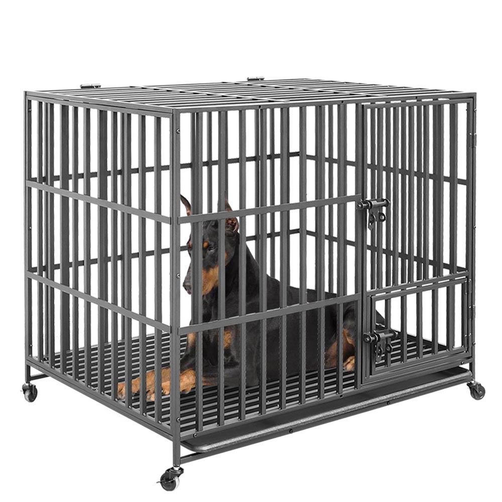 metal garden arches for sale