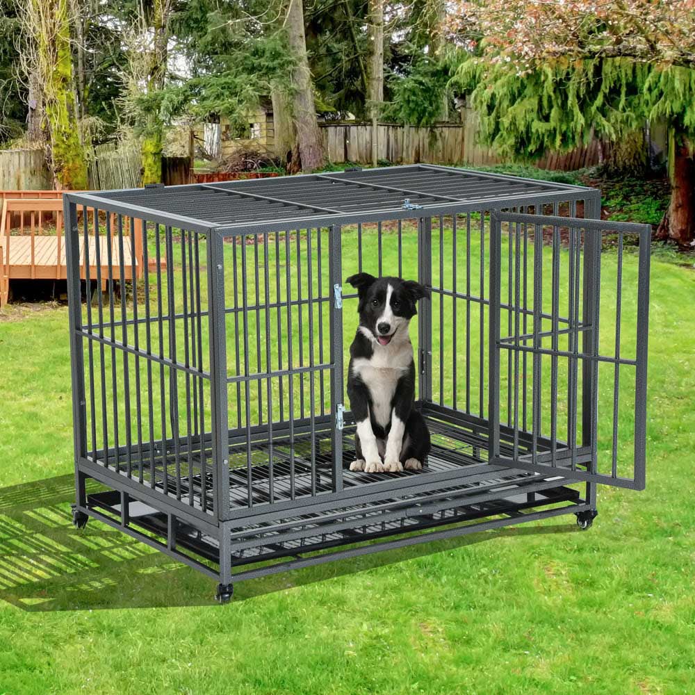 pet cage travel