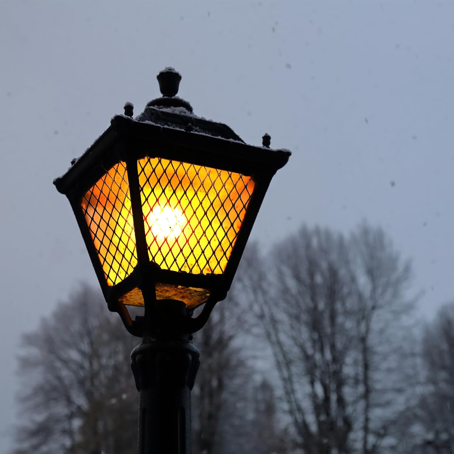 Exploring the Versatility and Applications of Small Plastic Mesh in Various Industries