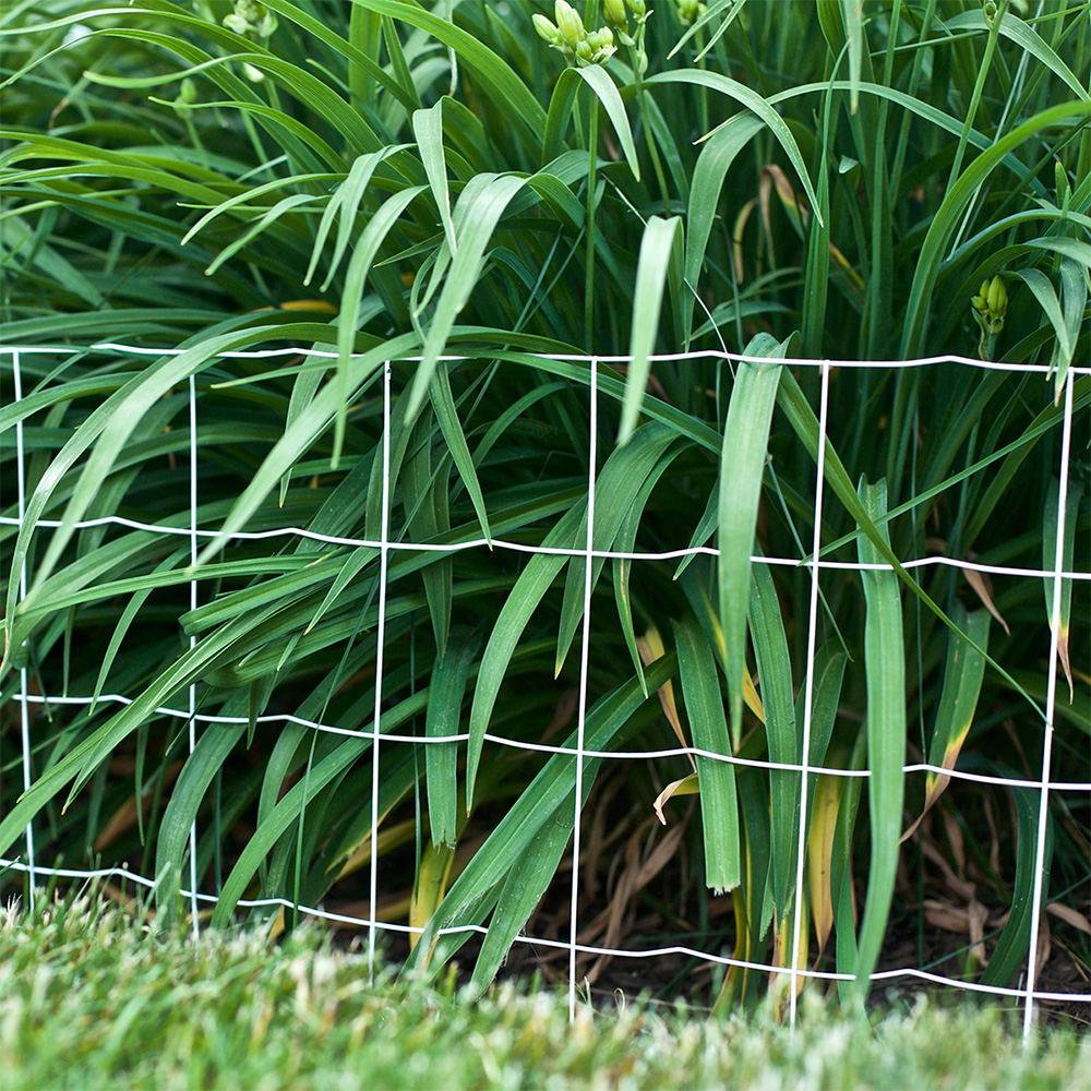 Read More About garden separator fence