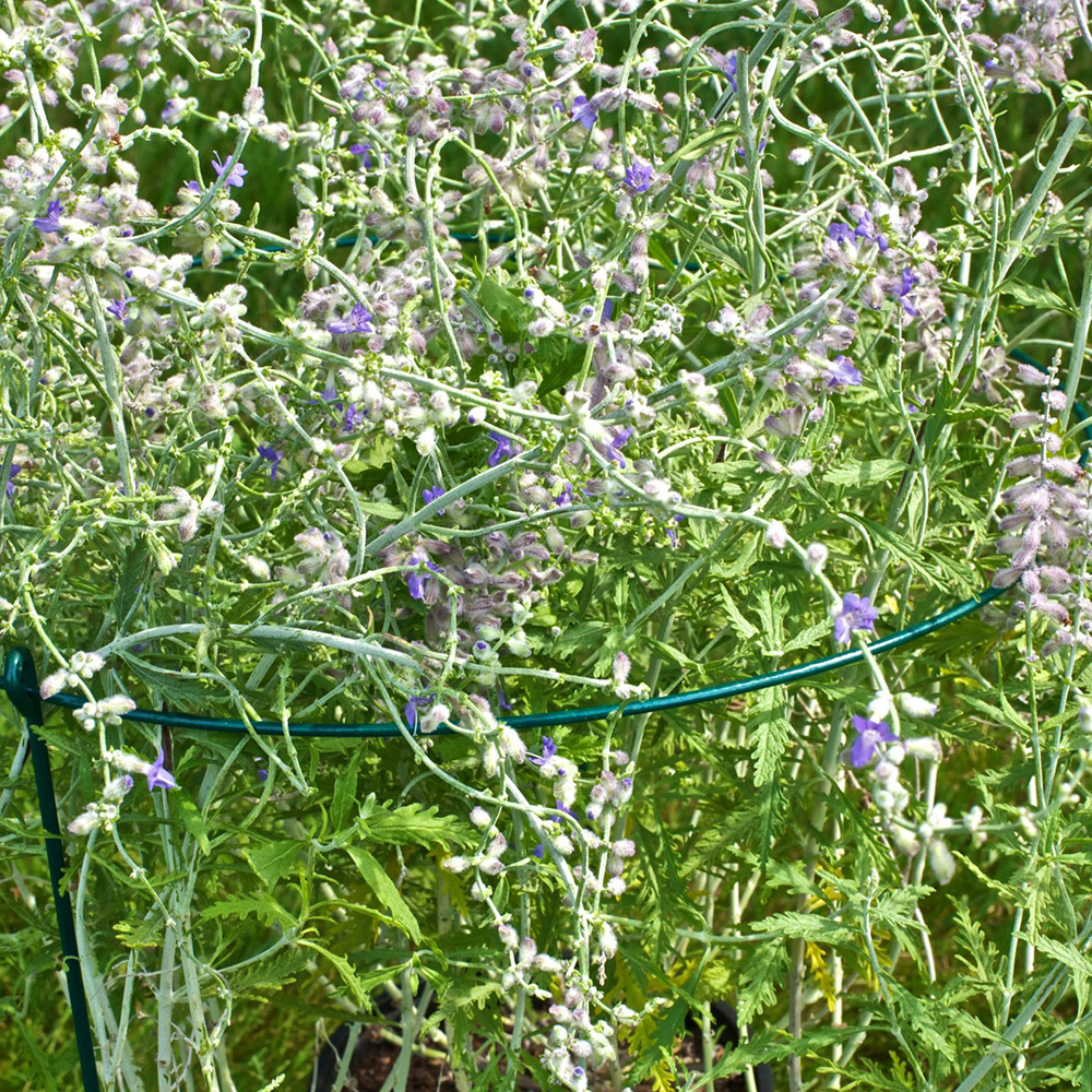 green wire fence posts