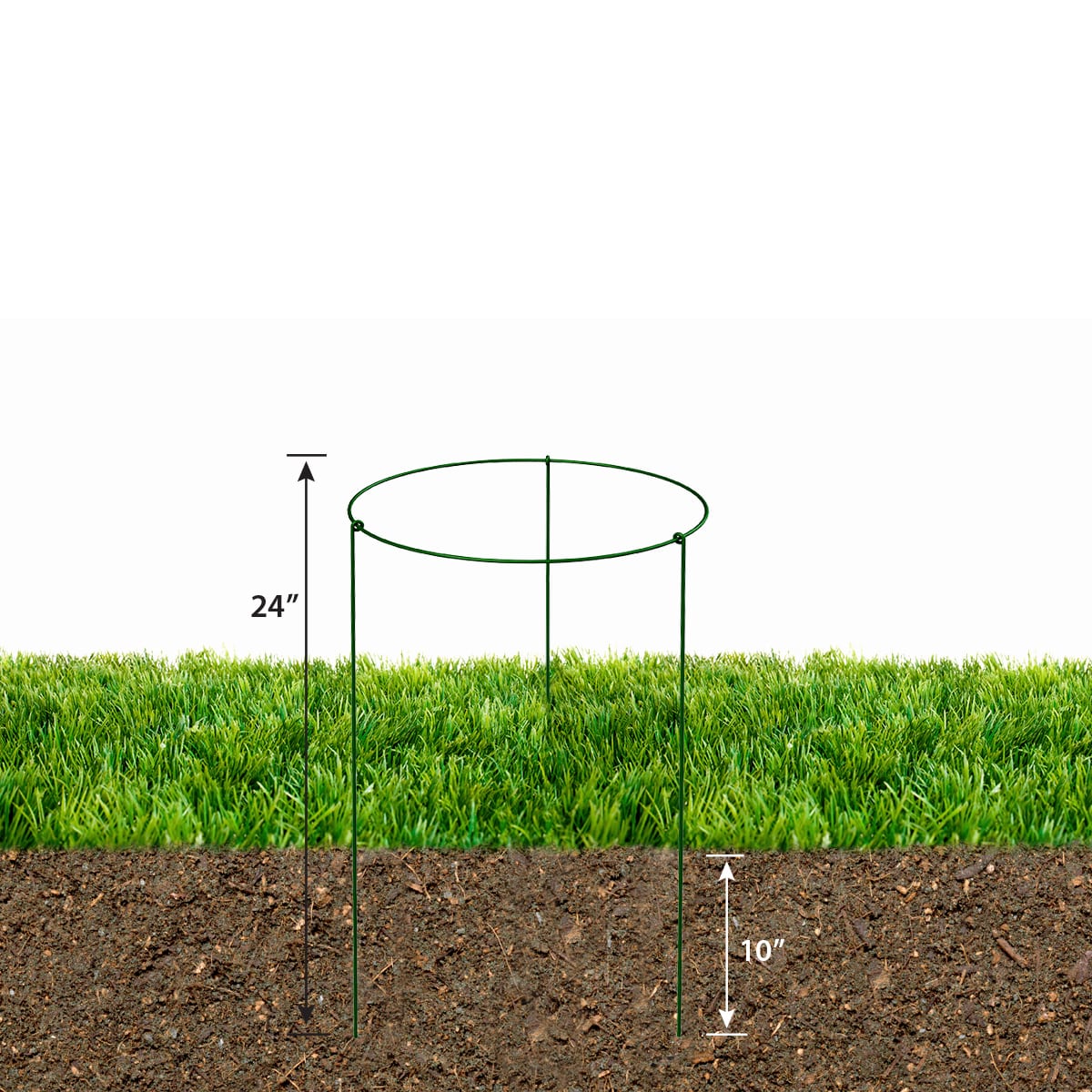 Read More About Plant Support