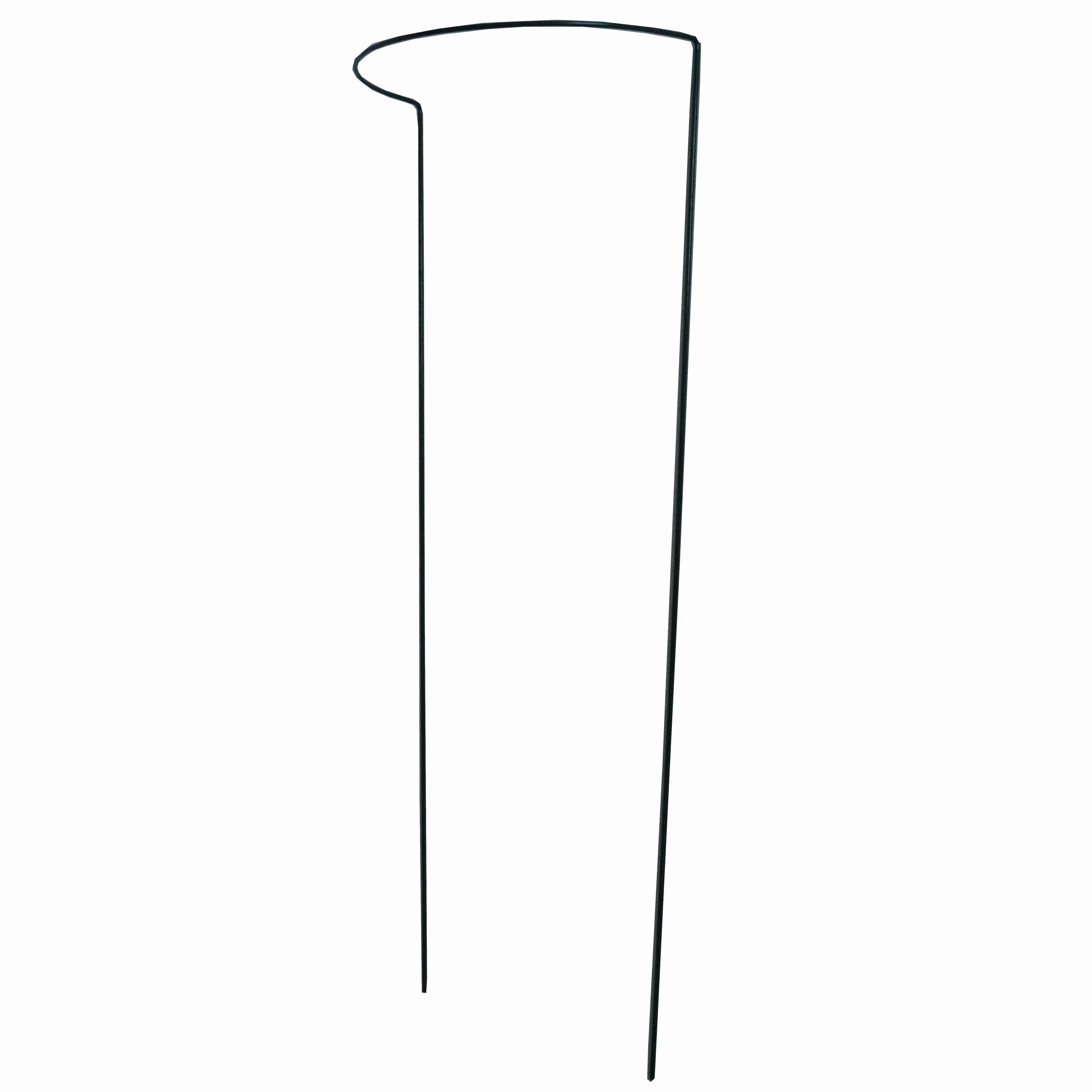 Read More About Plant Support