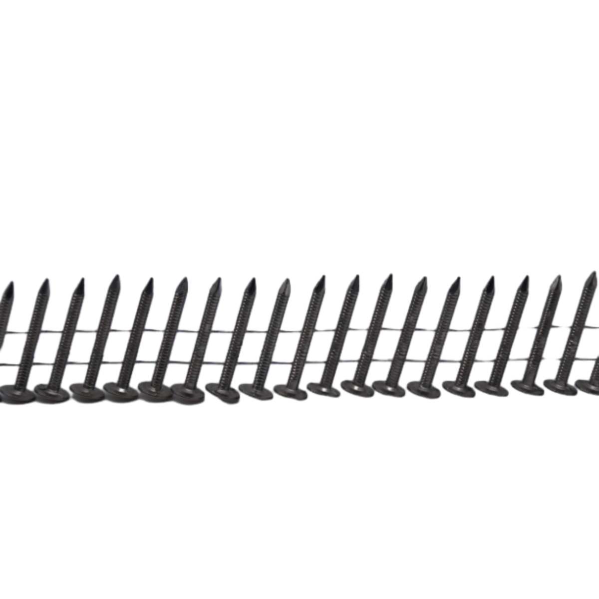 Read More About coil nail