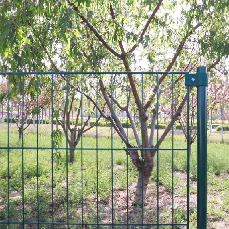 Extra Large Heavy Duty Wire Dog Crate for Comfortable Spacious Living and Safe Pet Containment