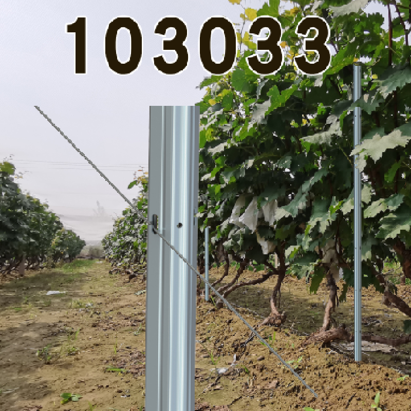 Read More About metal vineyard trellis posts