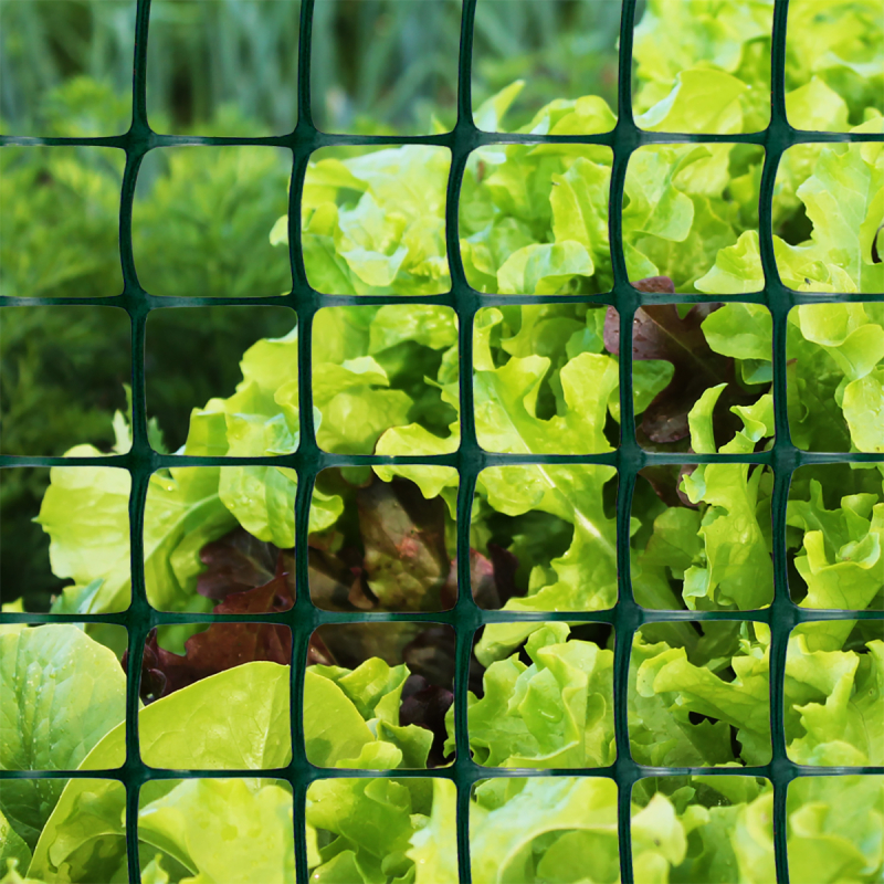 Read More About plastic chicken wire mesh