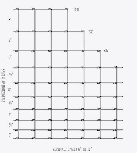 Exploring the Fascinating World of Plant Twists and Their Unique Forms