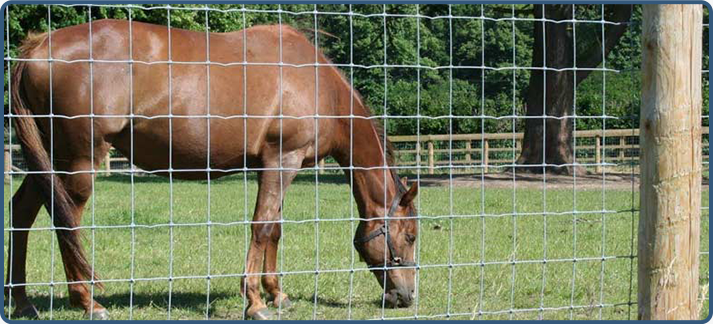 10 ft yüksek gizlilik çit panelleri