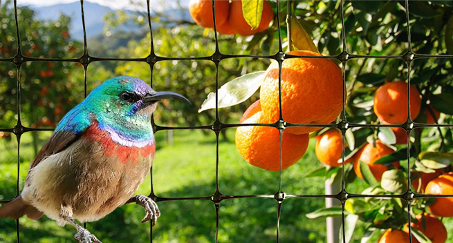 Exploring Agricultural Innovations at the 9ft Farm Gate for Sustainable Farming Practices Exploring Agricultural Innovations at the 9ft Farm Gate for Sustainable Farming Practices