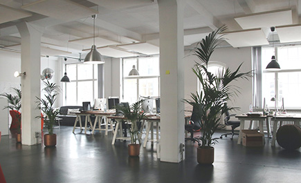 Exploring the Impact of 5.5% T-Post on Agricultural Efficiency and Sustainability