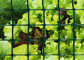 Copper Coil Roofing Nails - Durable & Weather-Resistant Fasteners