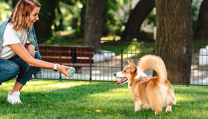 snow fence metal posts
