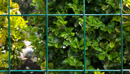 Durable Metal Fence Posts for Effective Deer Protection and Garden Security