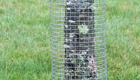 metal horizontal fence posts