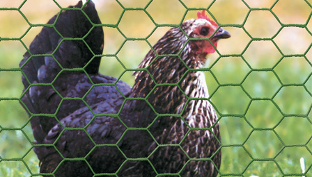 plastic collated framing nailer