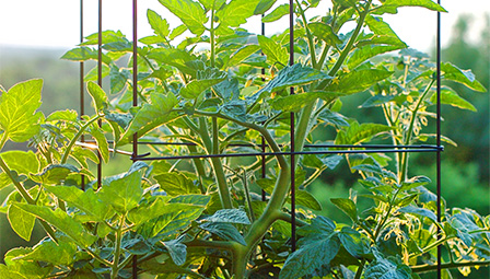 Versatile Solutions for Durable Grid Fence Panels and Applications