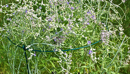 powder coated steel garden fence u post