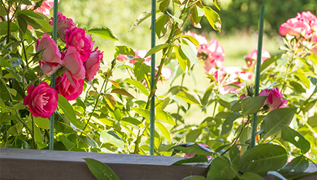 Durable 1 8  Inch Plastic Mesh Mesh for Various Applications