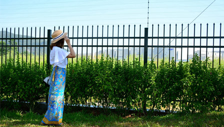 Durable 80  Rod Barbed Wire for Versatile Fencing Solutions and Security