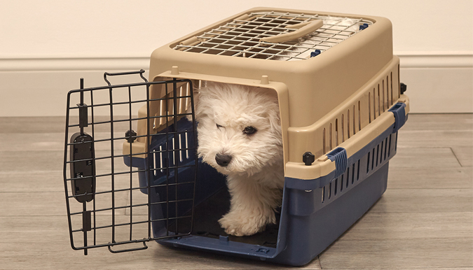 Durable Steel Edging for Beautiful Garden Beds and Landscape Design