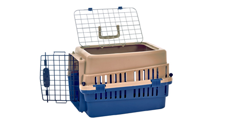 Lagerung Organisation